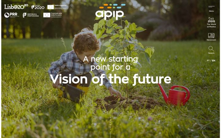 Screenshot of apip.pt