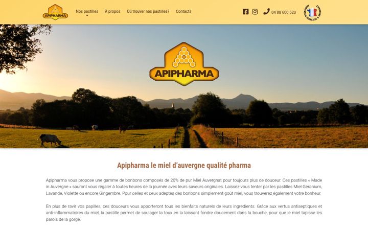 Screenshot of apipharma.fr