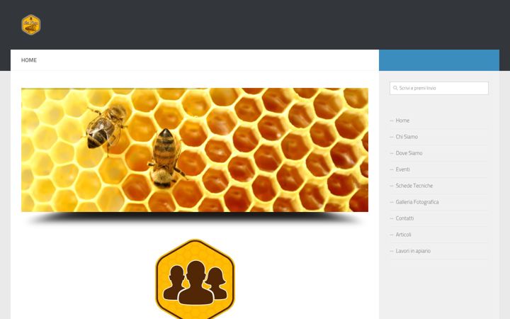 Screenshot of apipiave.it