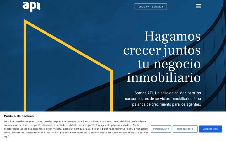 Screenshot of apiprofesional.com