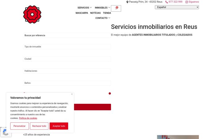 Screenshot of apireus.com