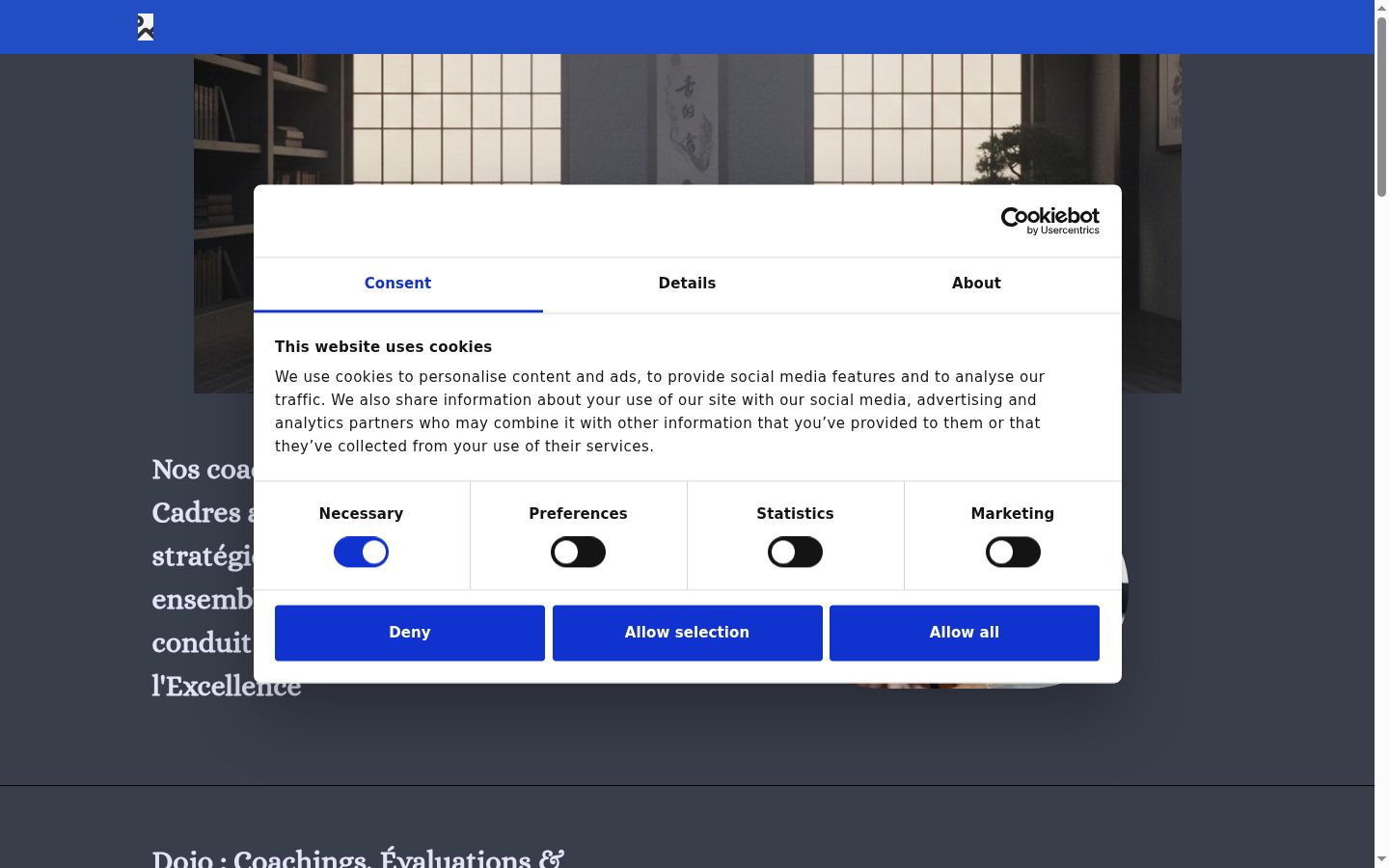Screenshot of the consent banner shown before any interaction