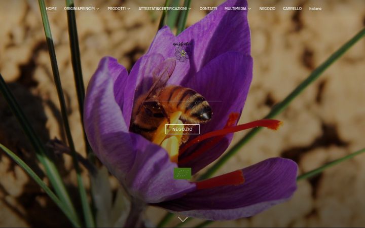 Screenshot di apiselvatica.it