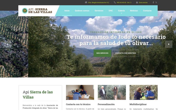 Screenshot di apisierradelasvillas.es