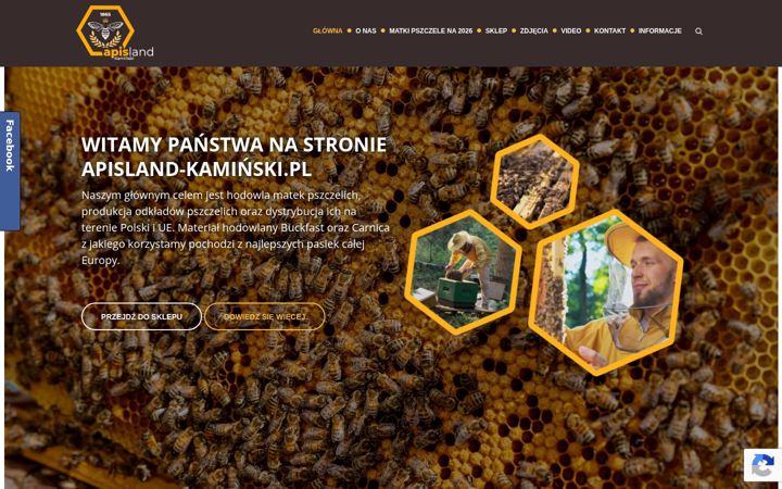 Screenshot of apisland-kaminski.pl