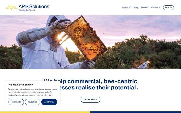 Screenshot di apissolutions.co.nz