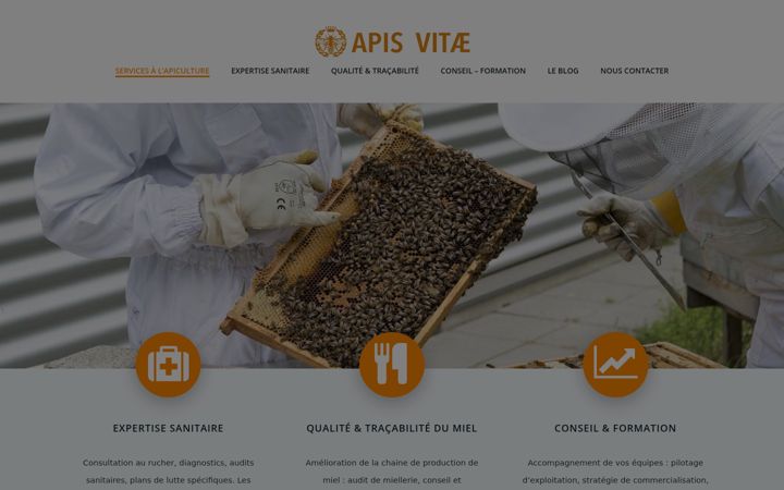 Screenshot di apisvitae.fr