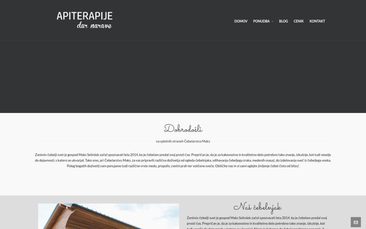 Screenshot of apiterapije.si
