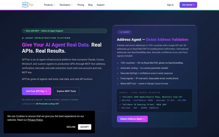 Screenshot of apitier.com
