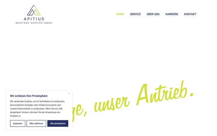 Screenshot of apitius-montage-service.de