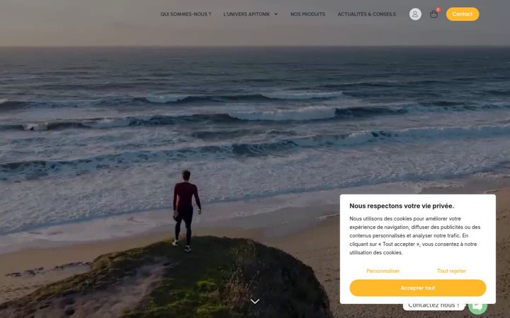 Screenshot of apitonik.fr