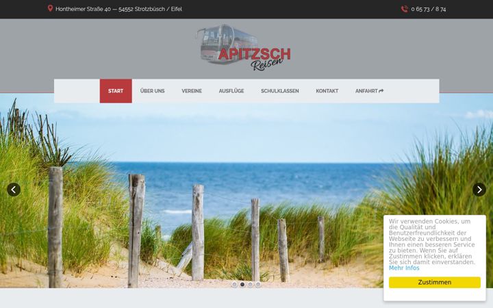 Screenshot of apitzsch-reisen.de