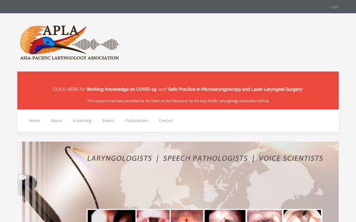 Zrzut ekranu aplassoc.com