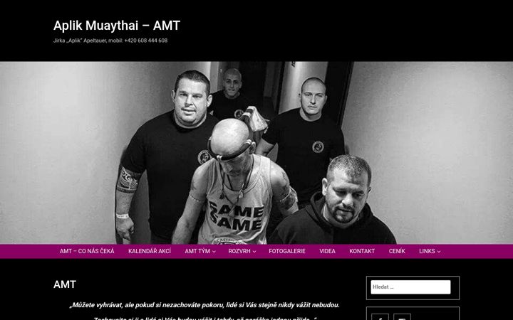 Screenshot of aplikmuaythai.com
