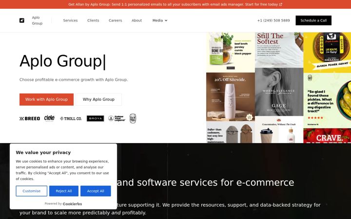 Screenshot of aplogroup.com