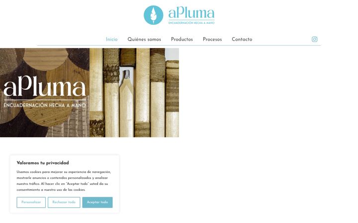 Screenshot of aplumaencuadernacion.es