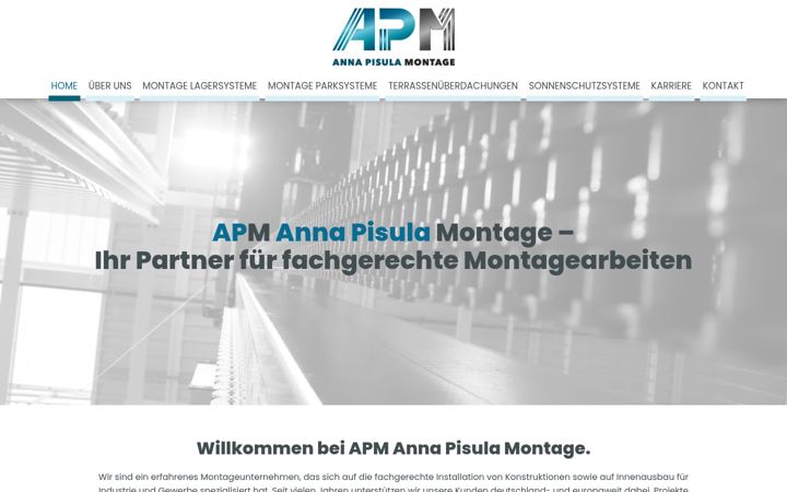 Screenshot of apm-systems.com