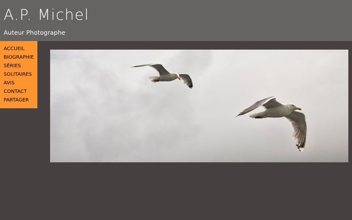 Screenshot of apmichel.com