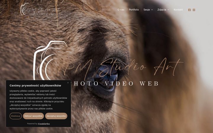 Screenshot of apmstudioart.pl