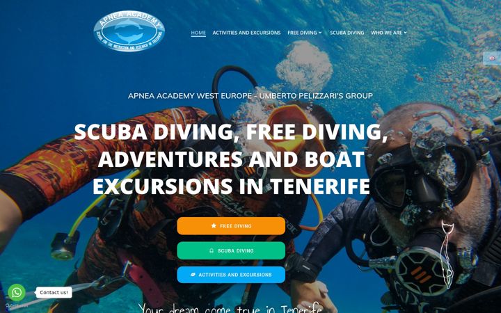 Screenshot of apneaacademywe.com