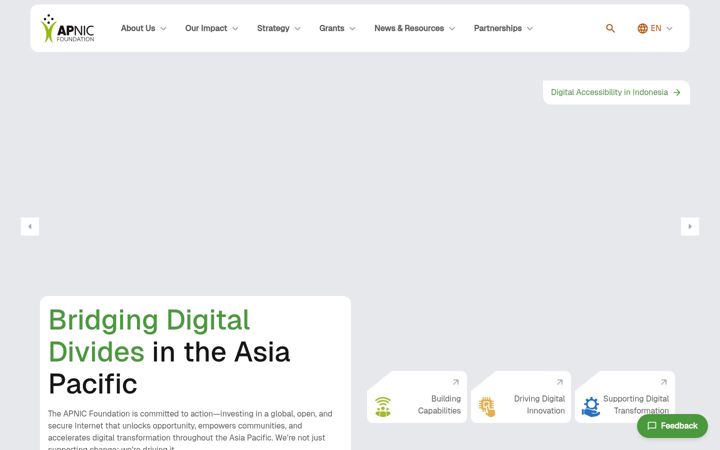 Screenshot of apnic.foundation