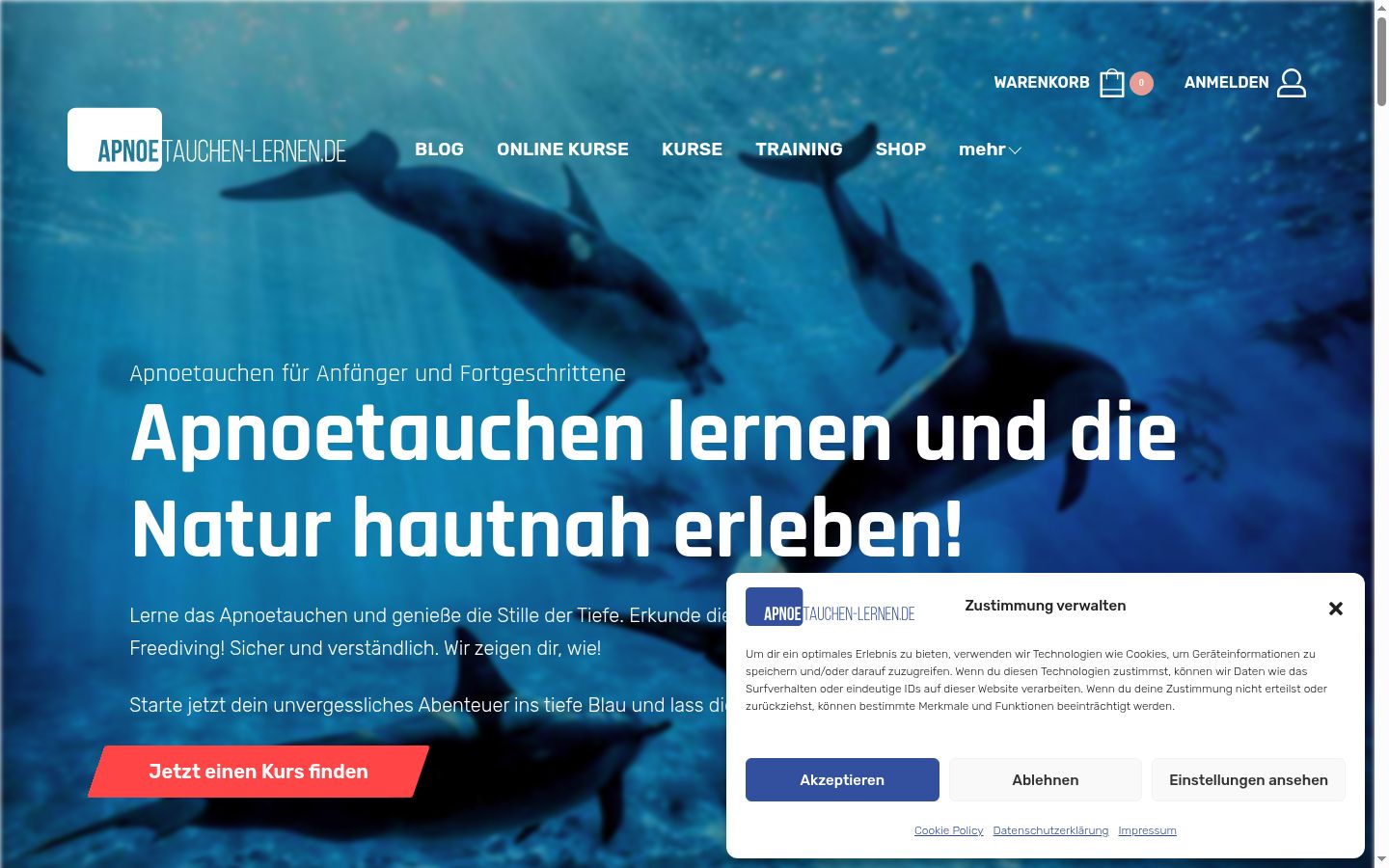 Screenshot des Einwilligungsbanners vor jeglicher Interaktion