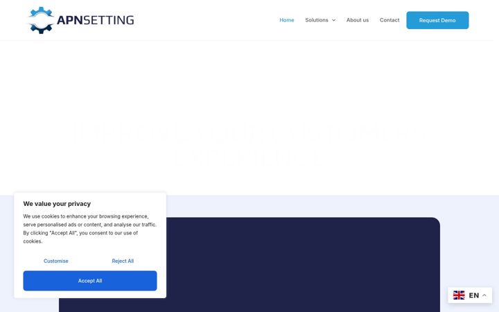 Screenshot of apnsetting.com