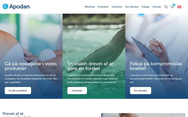 Zrzut ekranu apodan.dk