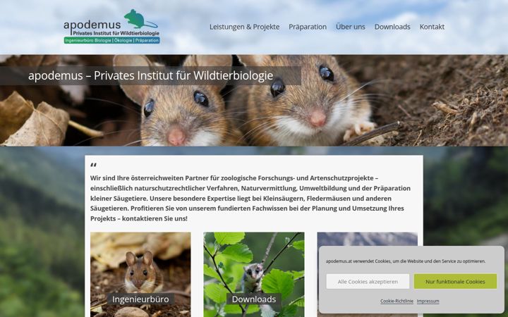 Screenshot of apodemus.at