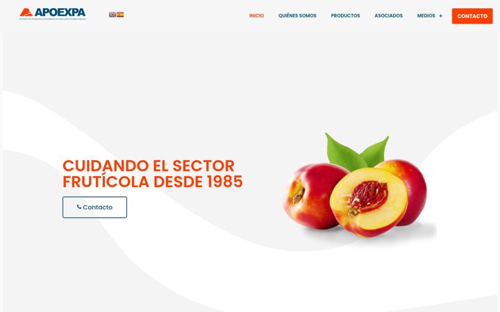 Screenshot of apoexpa.es