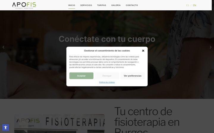 Screenshot of apofisfisioterapia.com