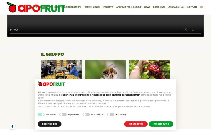 Screenshot of apofruit.it