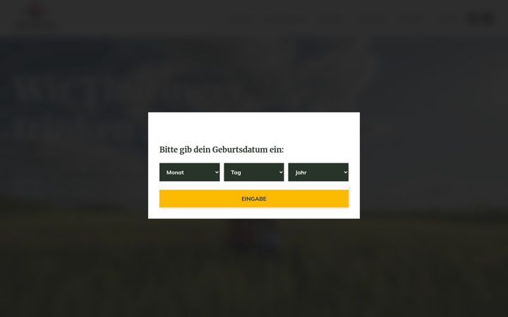 Screenshot of apoldaer.de