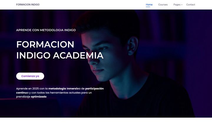 Screenshot of apolloindigo.net