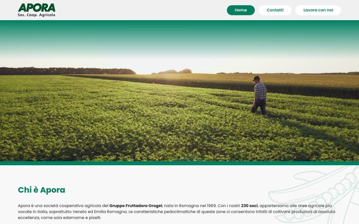 Screenshot of apora.it