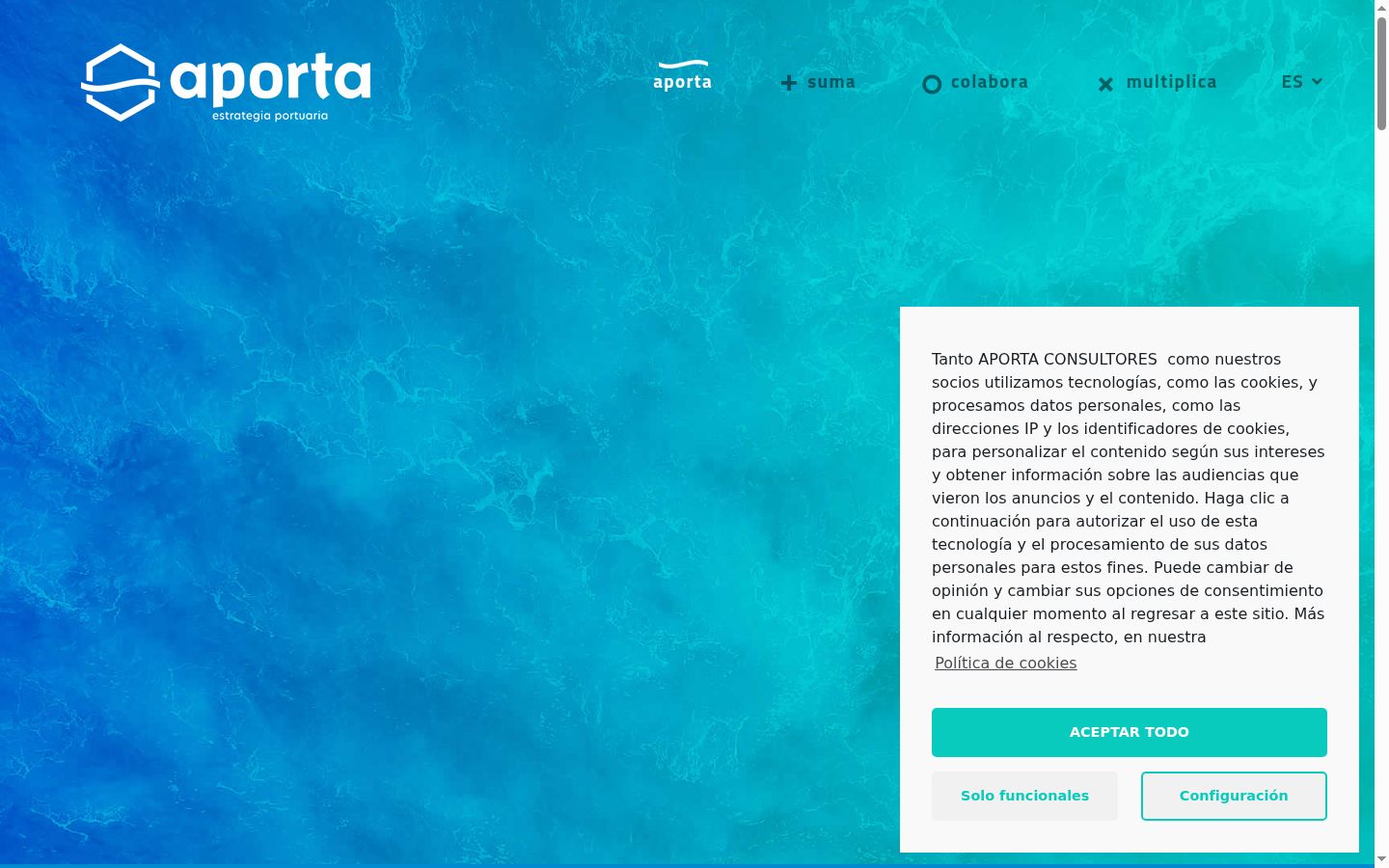 Screenshot of the consent banner shown before any interaction