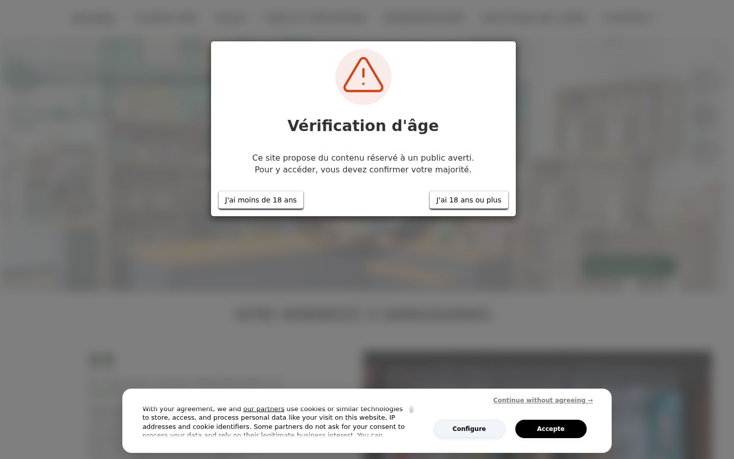 Skärmbild av samtyckesbannern som visades före någon interaktion