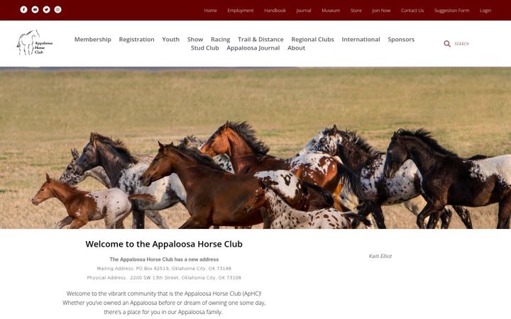 Snímek obrazovky appaloosa.com