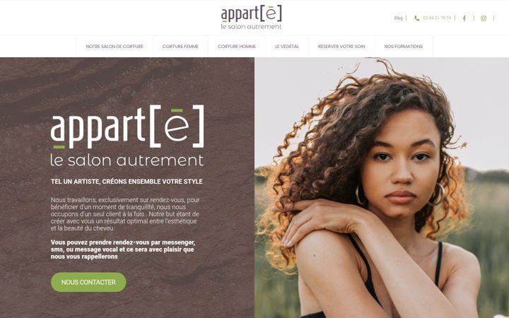 Screenshot ta' appartelesalonautrement.fr