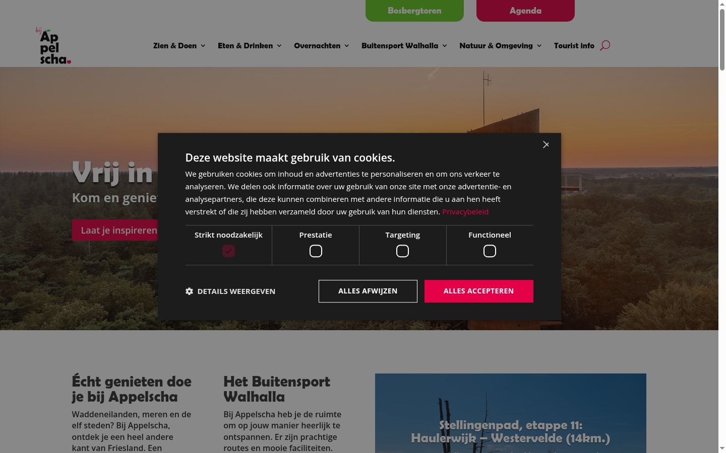 Sutikimo reklamjuostės, rodytos prieš bet kokią sąveiką, ekrano kopija