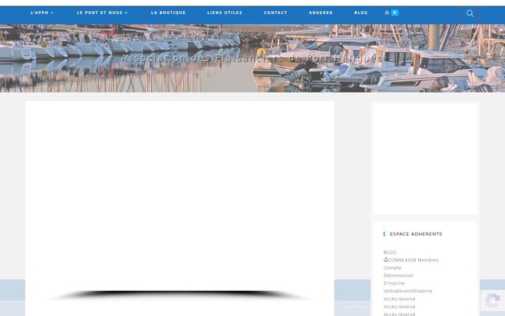 Screenshot ta' apph-port-haliguen.fr