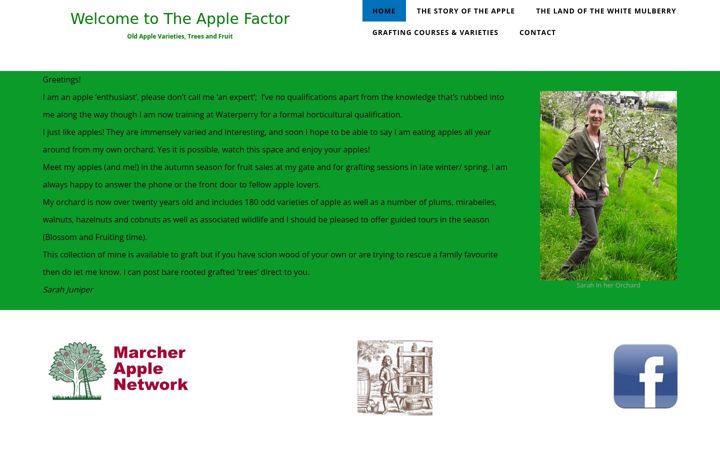 Screenshot of applefactor.co.uk