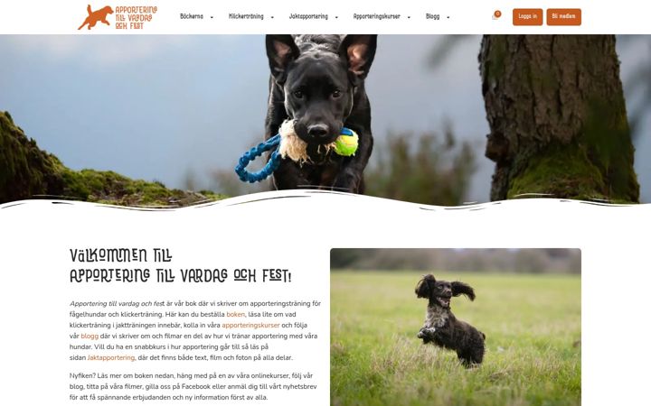 Screenshot of apporteringtillvardagochfest.se