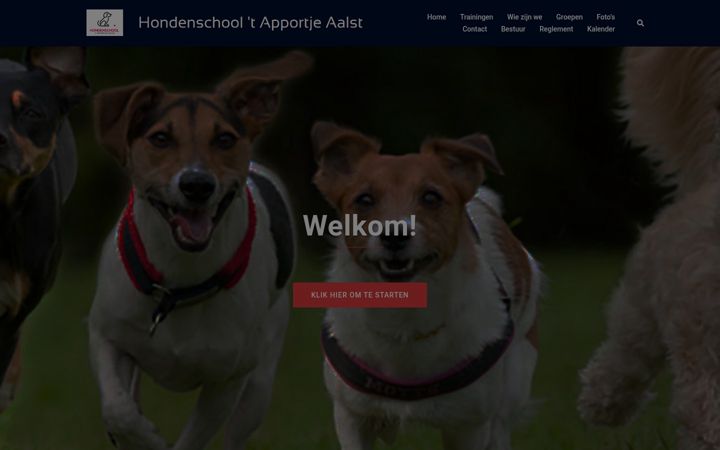 Screenshot of apportje.be