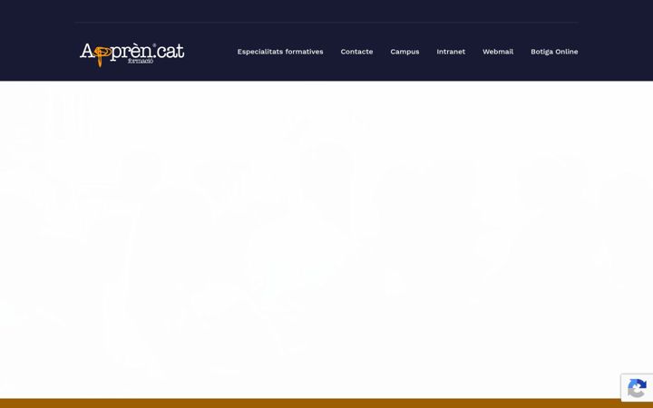 Screenshot of appren.cat