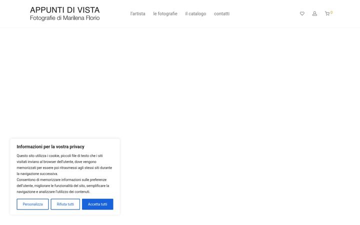 Screenshot ta' appuntidivista.me