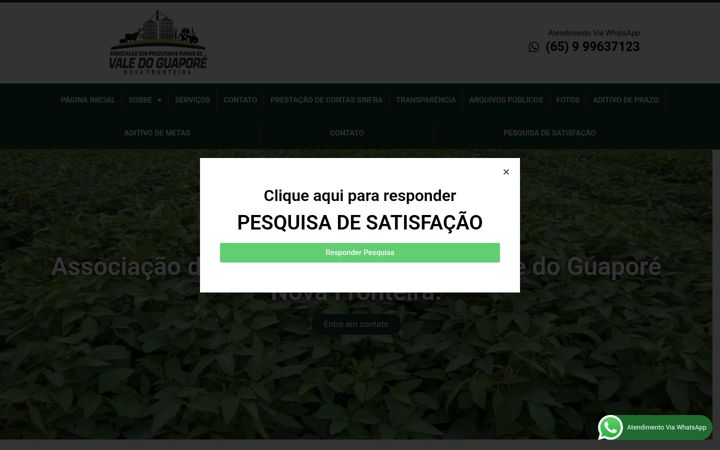Kuvakaappaus sivustosta apr-valedoguapore.com.br