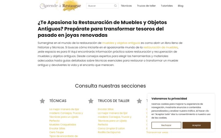 Screenshot di aprendearestaurar.com