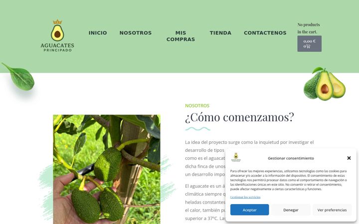 Ekrano kopija aprincipado.com