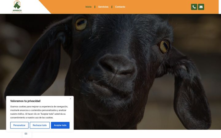 Ekrano kopija apriscoeleuteriosl.com